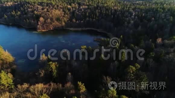 春季清澈湖水的空中钻探镜头视频