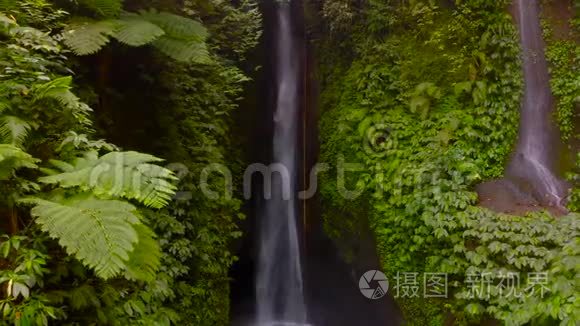 印尼巴厘岛丛林中的莱克莱克瀑布鸟瞰图。向左移动