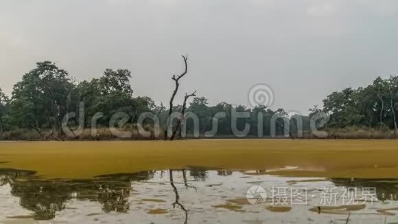 水禽林湖的时空分布视频