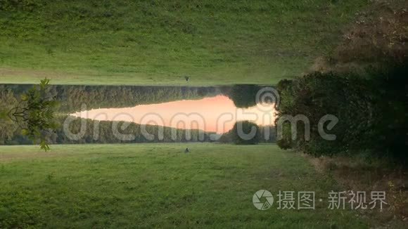 抽象晨间花园观景视野.