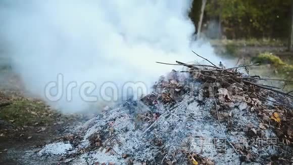 在浓烟中燃烧秋叶视频