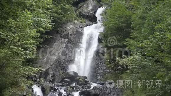 高加索山脉中的瀑布被许多松树和灌木所包围，最终汇入山河