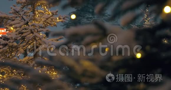 雪夜公园有圣诞灯的森林视频