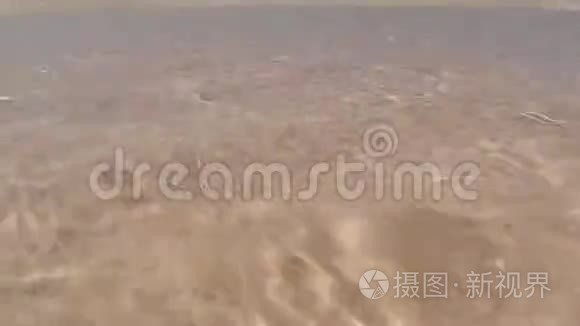 清澈的水面波浪海边白沙视频