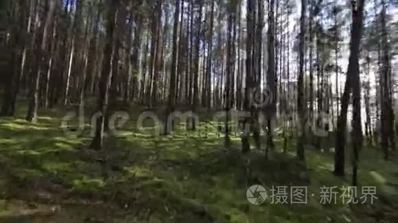 模拟在森林深处逃跑的恐惧视频