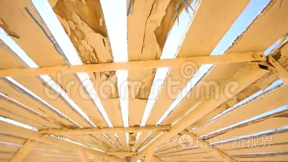 夏天的木制雨伞视频