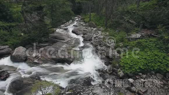 山泉溪，森林中的快野河