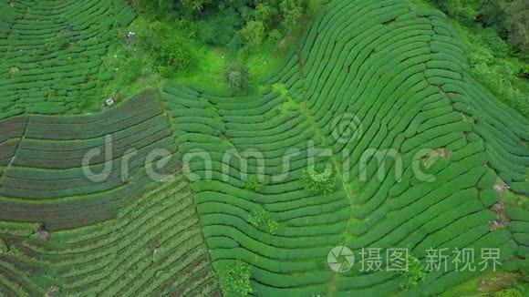 雾天阿里山国家风景区铁路历史列车