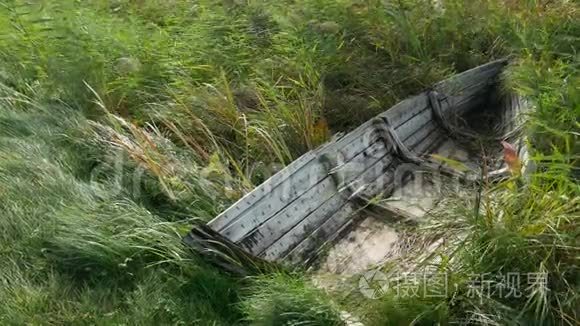 破旧的木船躺在灌木丛中视频