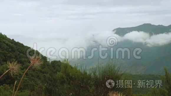 马德拉岛上布满雾的峡谷景观视频