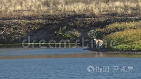 托沃姆巴地区的克雷斯布鲁克湖