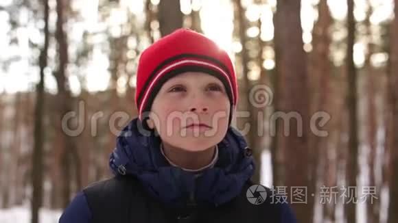 戴红帽子的男孩在雪林视频