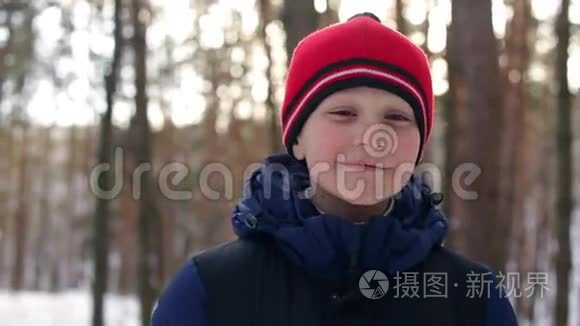 戴红帽子的男孩在雪林视频