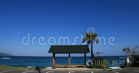 鹿儿岛大山海滩的棕榈树和亭子视频