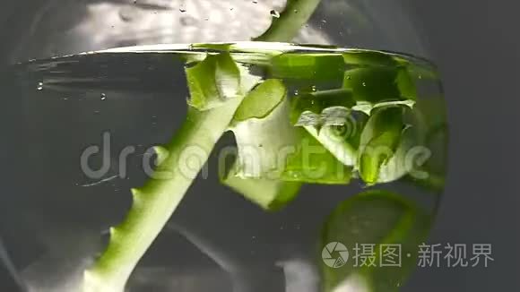 芦荟植物片水碗视频