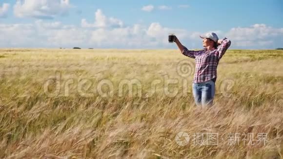 农夫在大麦地喝黑啤酒视频