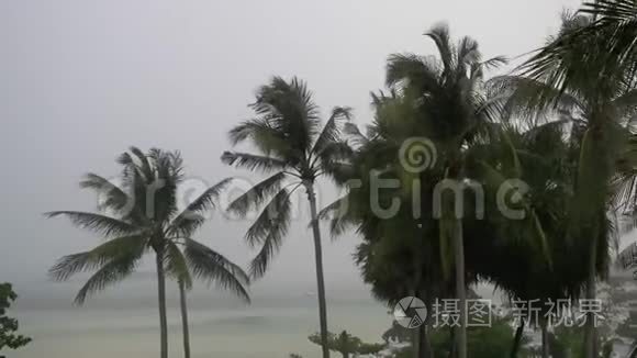 热带风暴强风吹着椰子树，下雨时天空多云。 3840x2160