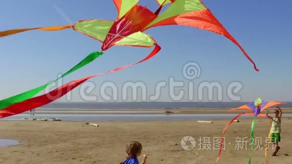 快乐的孩子们在海滩上放风筝视频