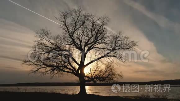 夕阳的云彩飞过湖面，水边孤树的剪影