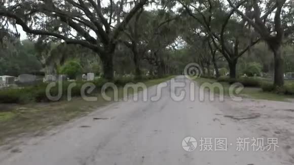 博纳文德公墓橡树路现场直播视频