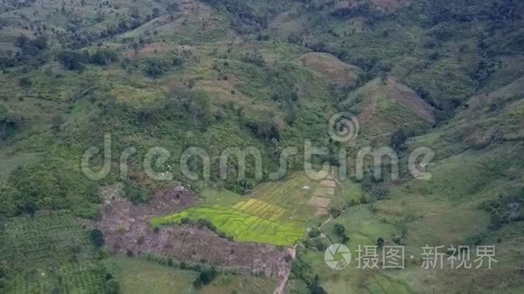 林山上景中的高地与农田视频