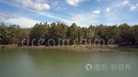 湖岸和天空上的木，有云气景