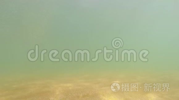 海底有海水和阳光视频