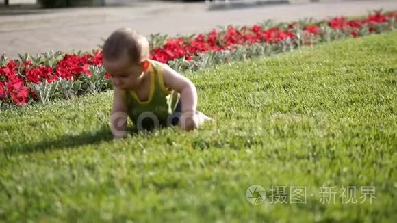 婴儿从草地上慢慢地爬行。 小磨坊认识世界。 慢动作。