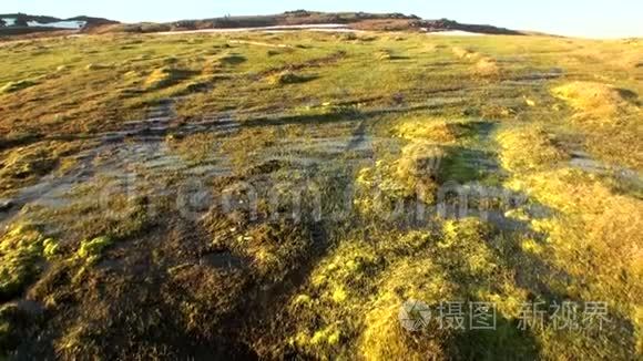 新地球瓦伊格奇岛北极荒野海岸夏季土壤。