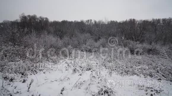 美丽的暴雪圣诞自然视频