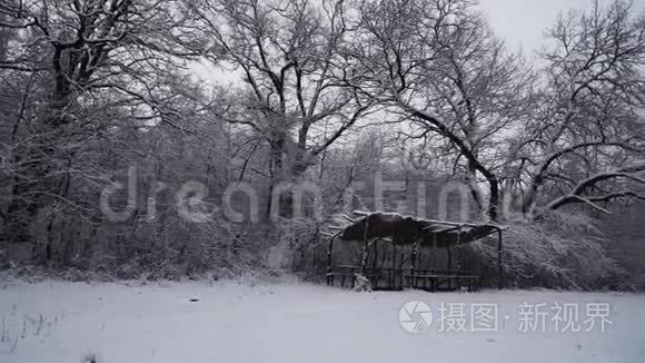 美丽的暴雪圣诞自然视频