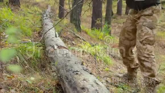 用斧子砍树的伐木工手和腿视频