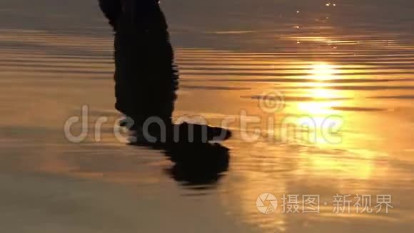 人站在湖水中，一动不动，看着夕阳的倒影