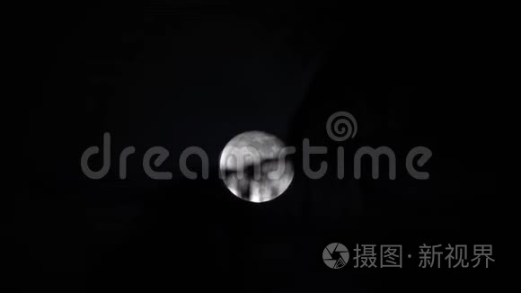 在神秘的黑暗夜空满月。 万圣节的幽灵主题。 月光下的棕榈树