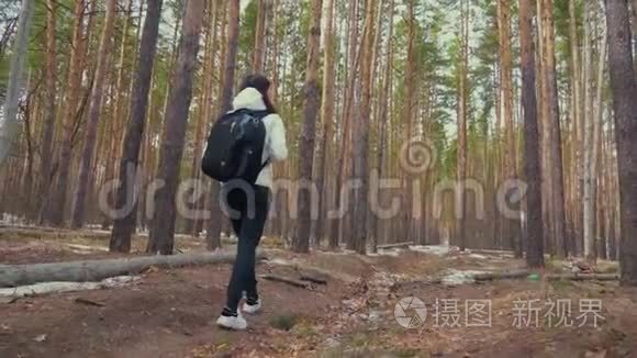 徒步旅行者女孩背着背包走在松林，后景。 在野生动物自然中积极的生活方式和冒险。