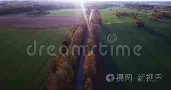 从欧洲东部的小城市俯瞰黄桦林下的宁静的秋晚景色