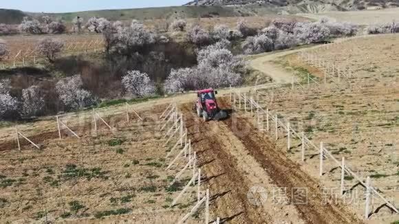 阳光明媚的早晨，红拖拉机在葡萄园里耕种土壤