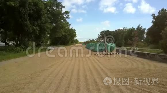 米道路边有粮食的大型棚屋视频