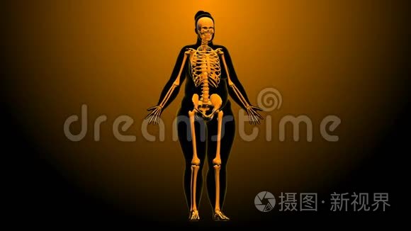 x光脂肪的女人短视频