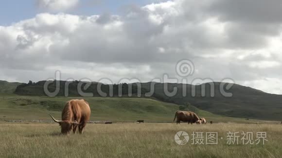 海兰科什格拉泽科特兰德高清视频