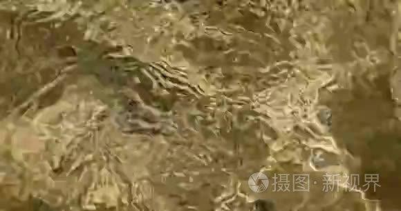 阳光照射下人工池塘水面涟漪视频