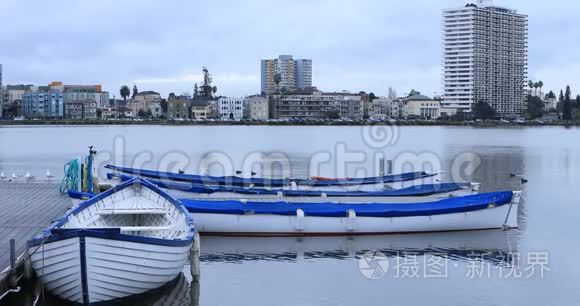 加州奥克兰梅里特湖景观，前景4K