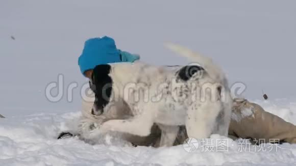 男孩少年在雪地里和狗玩得很开心。