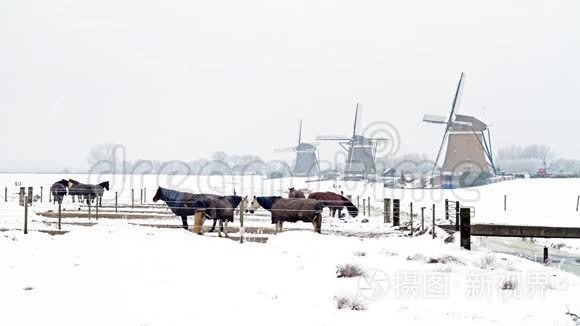 在荷兰的农村下雪视频