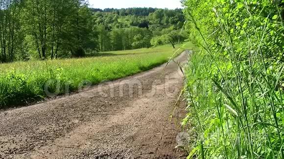 乡间小路附近的草地和树木