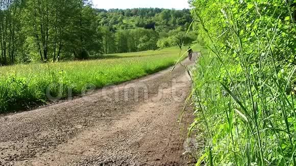 乡间小路附近的草地和树木视频