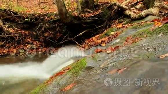 干净的河流视频