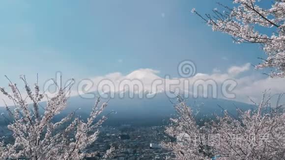 日本三仓树与富士山视频