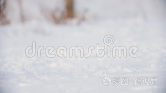 在雪地里驰骋的马蹄特写镜头视频