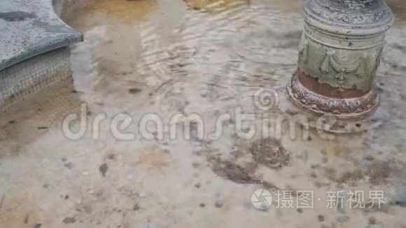 沙拉加牛油果和鲑鱼片视频